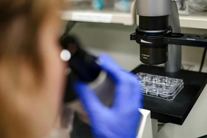 MSKAI Unveils AI Tool for Embryo Cell Analysis and Imaging-Driven Cancer Insights