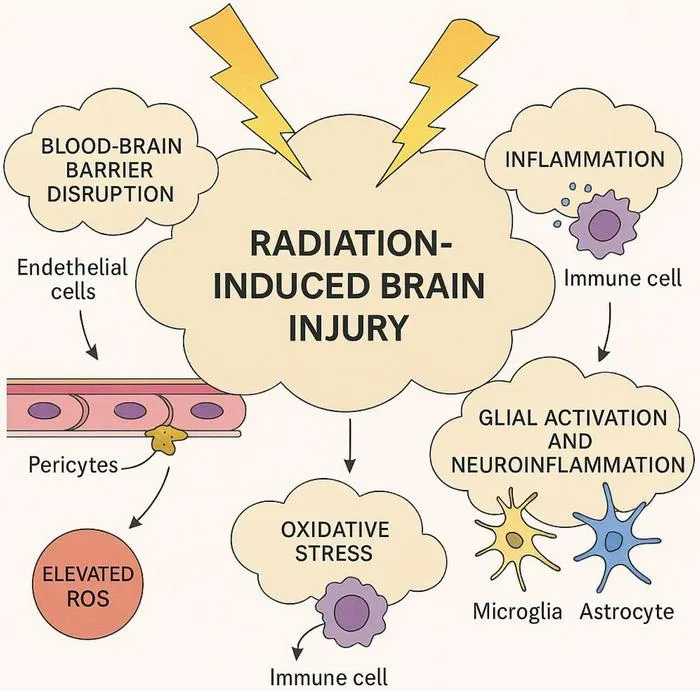 Advances in Multimodal Imaging and AI for Radiation-Induced Brain Injury