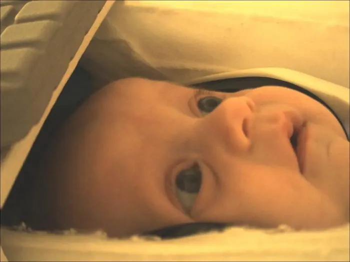 AI and fMRI Reveal Infant Brain Categorises Objects at Two Months