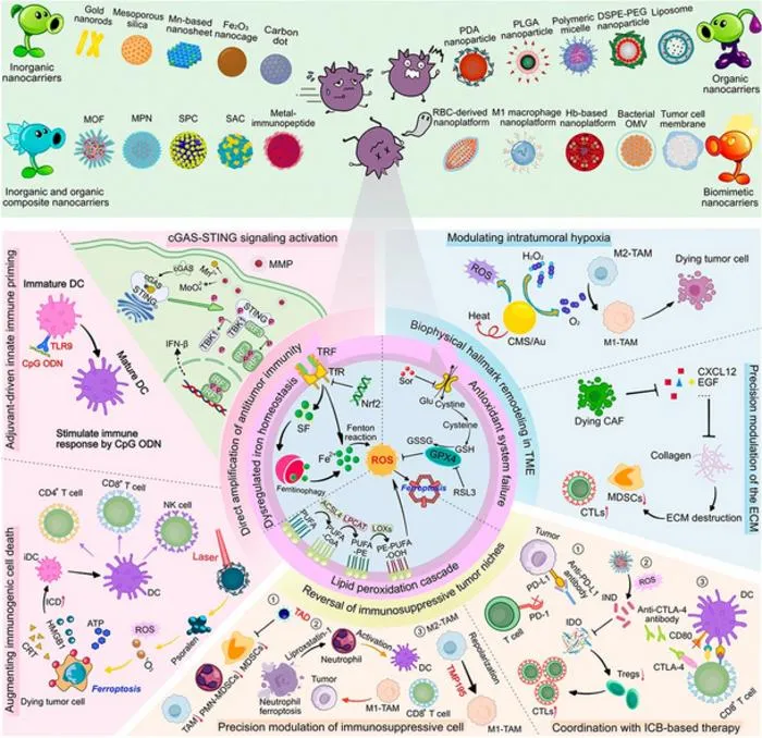 AI-Enabled Nanoplatforms Combine Ferroptosis, Immunotherapy, and Imaging for Cancer