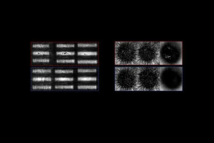 AI-Enhanced Imaging Breaks Barriers in Complex Media for Biomedical Use