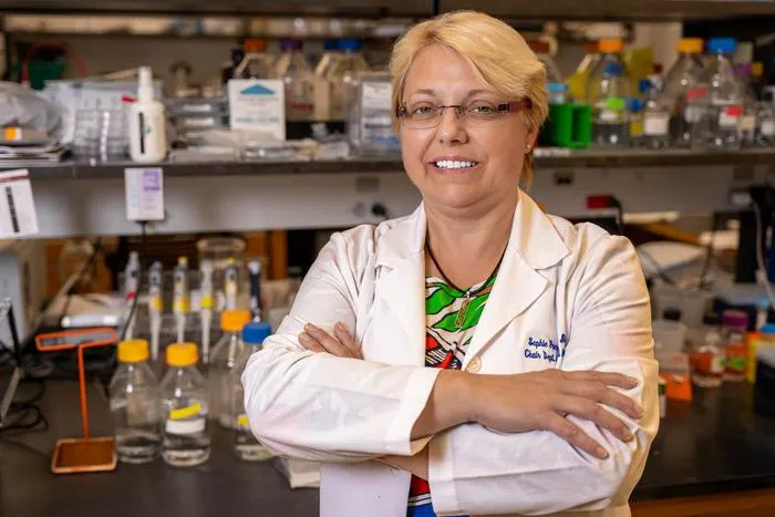 AI Model BIOPREVENT Predicts Complications in Stem Cell Transplant Patients