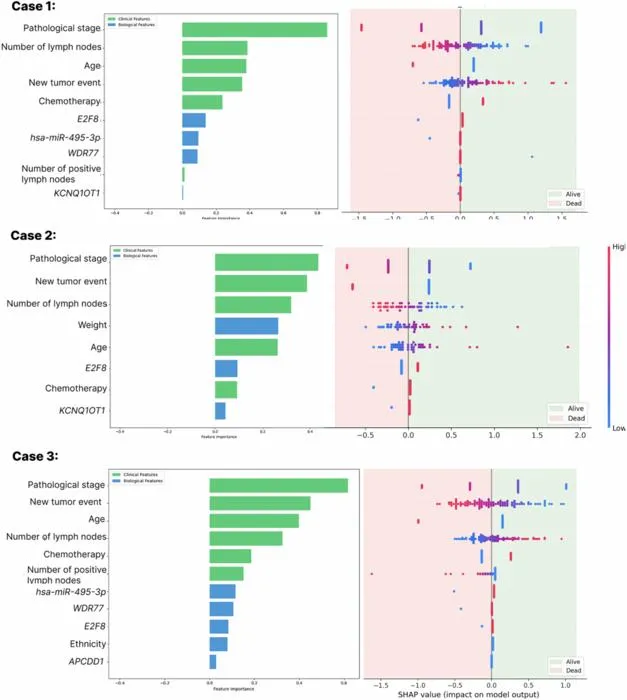 AI Model Predicts Colorectal Cancer Survival by Integrating Clinical and Molecular Data