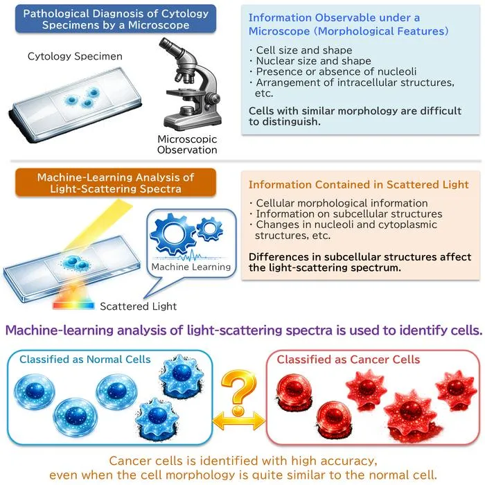 AI System Enhances Cancer Cell Detection via Light Scattering Spectra