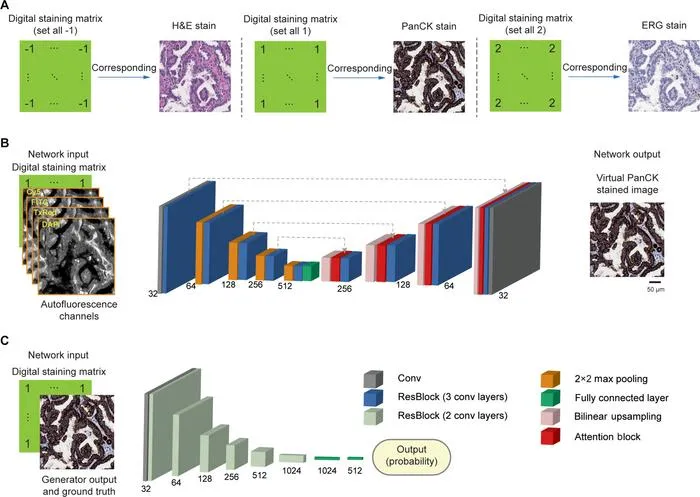 Deep Learning Enables Virtual Multiplexed Immunostaining in Pathology