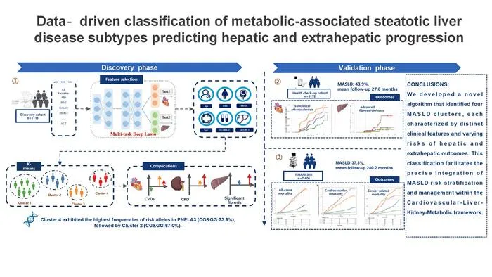 Deep Learning Stratifies MASLD Into Four Subtypes to Enable Precision Medicine