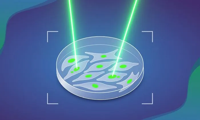 MAGIC AI System Enables High-Throughput Cancer Cell Imaging and Analysis