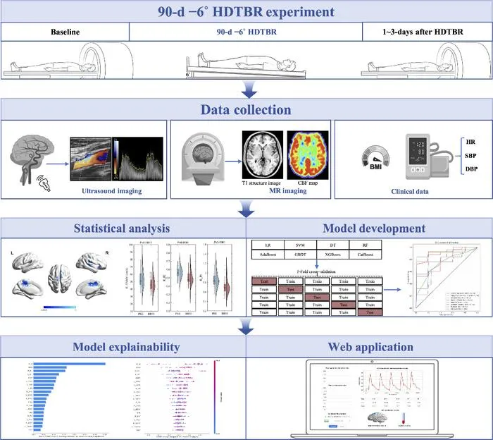 ML and Multimodal Imaging Power Cerebral Blood Flow Monitoring for Spaceflight