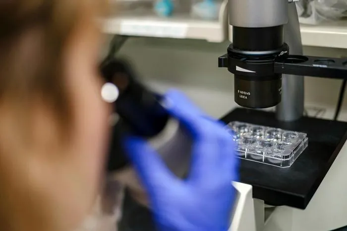 MSKAI Unveils AI Tool for Embryo Cell Analysis and Imaging-Driven Cancer Insights