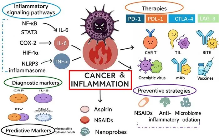 New Review Explores Cancer-Inflammation Link and Imaging AI in Precision Therapy