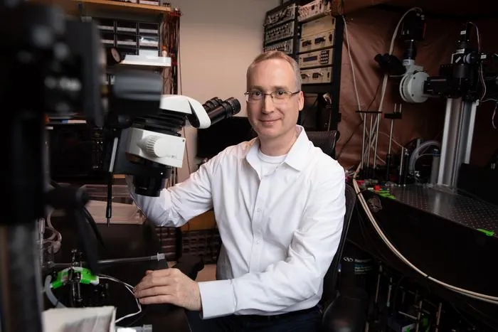 New VIS-Fb Nanobody Probes Transform High-Precision Cellular Imaging