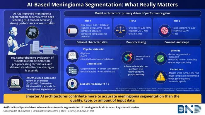 Review Finds AI Model Architecture Key for Brain Tumor MRI Segmentation