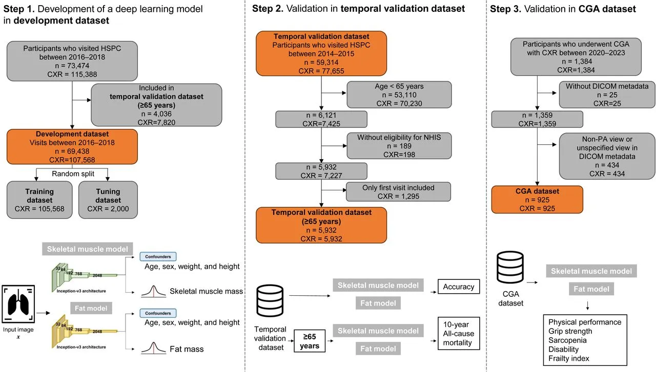 10-year mortality predicted by deep learning on chest radiographs