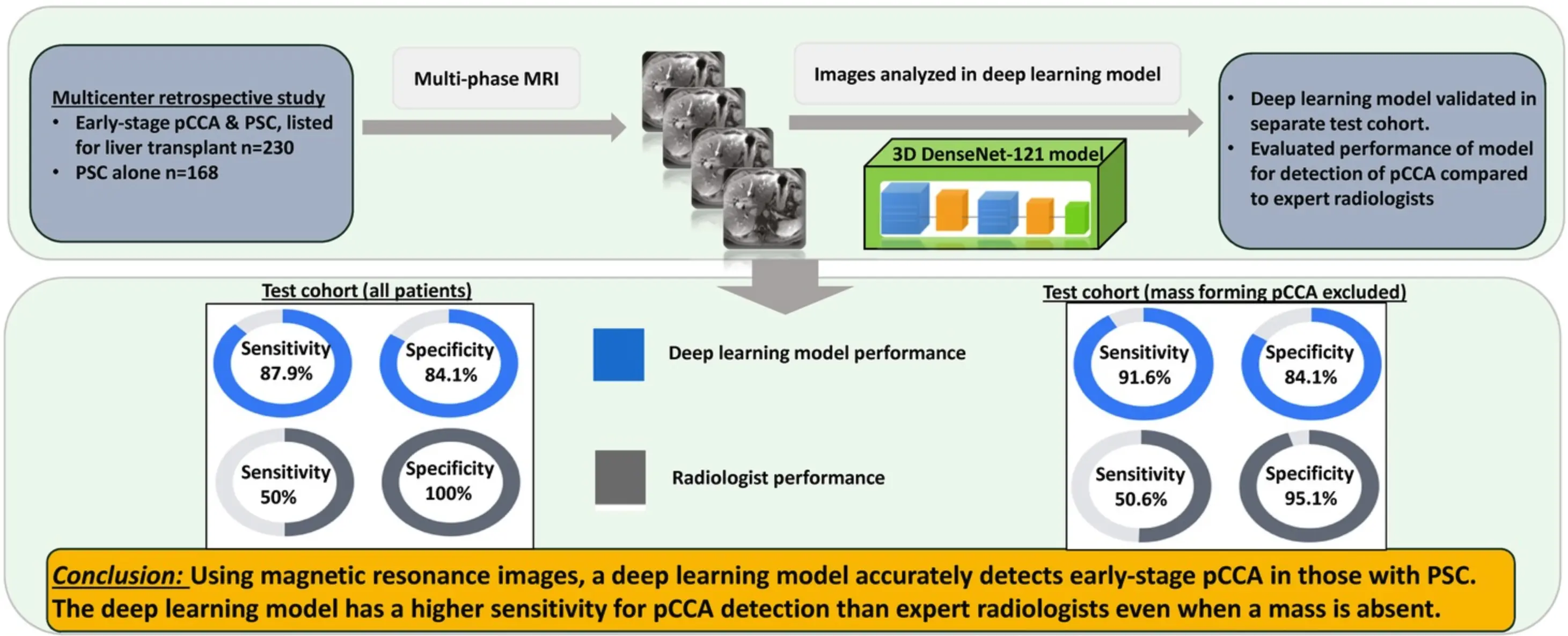 AI MRI model boosts early liver cancer detection to 87.9% sensitivity