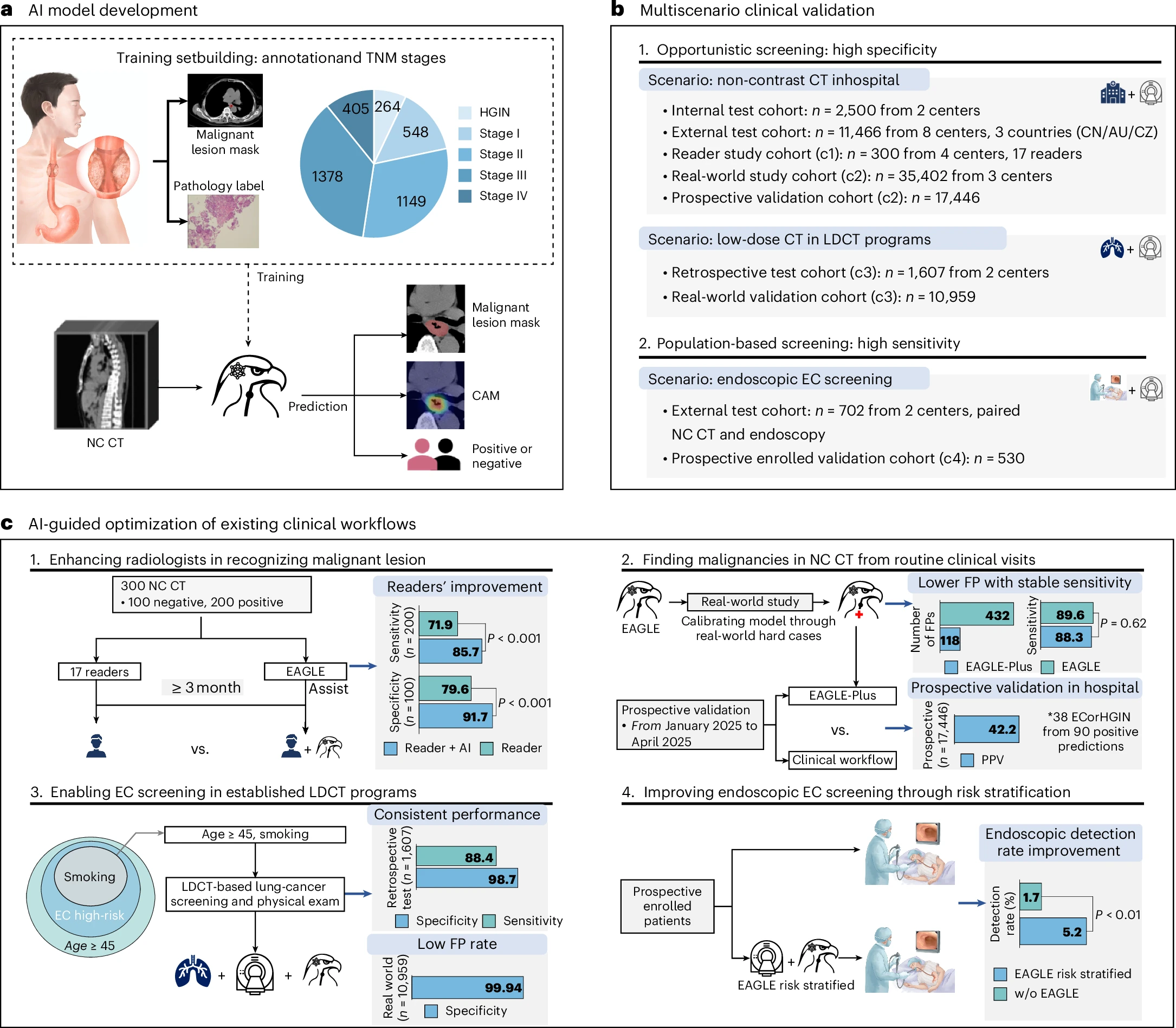 CT AI screened 80,612 for esophageal cancer