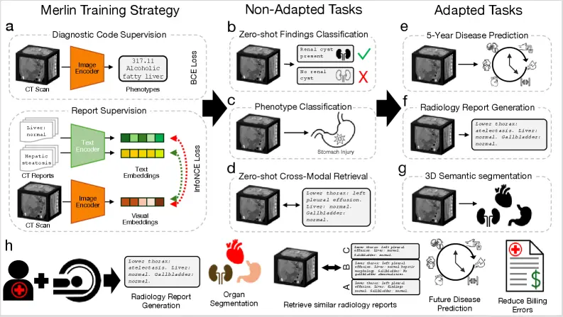 Merlin AI foundation model interprets abdominal CT at scale